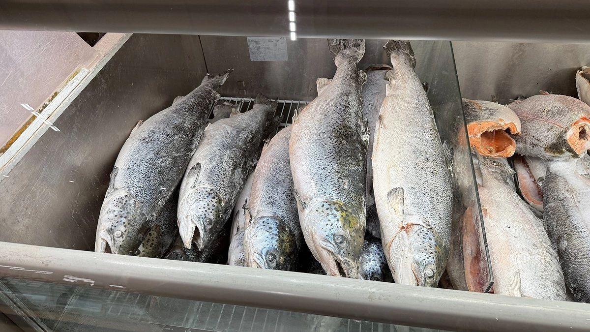 Главная картинка новости: Какую красную рыбу нужно обходить стороной - запомните это раз и навсегда