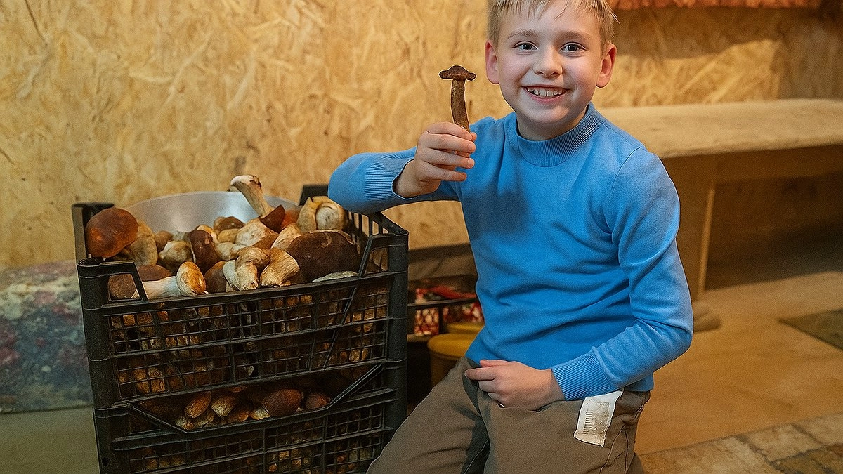 Грязная тайна грибов: кто же такой ельничный груздь на самом деле