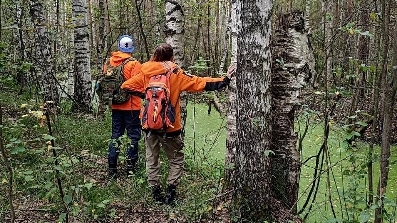 Под Кировом бесследно пропал мужчина с возможной потерей памяти