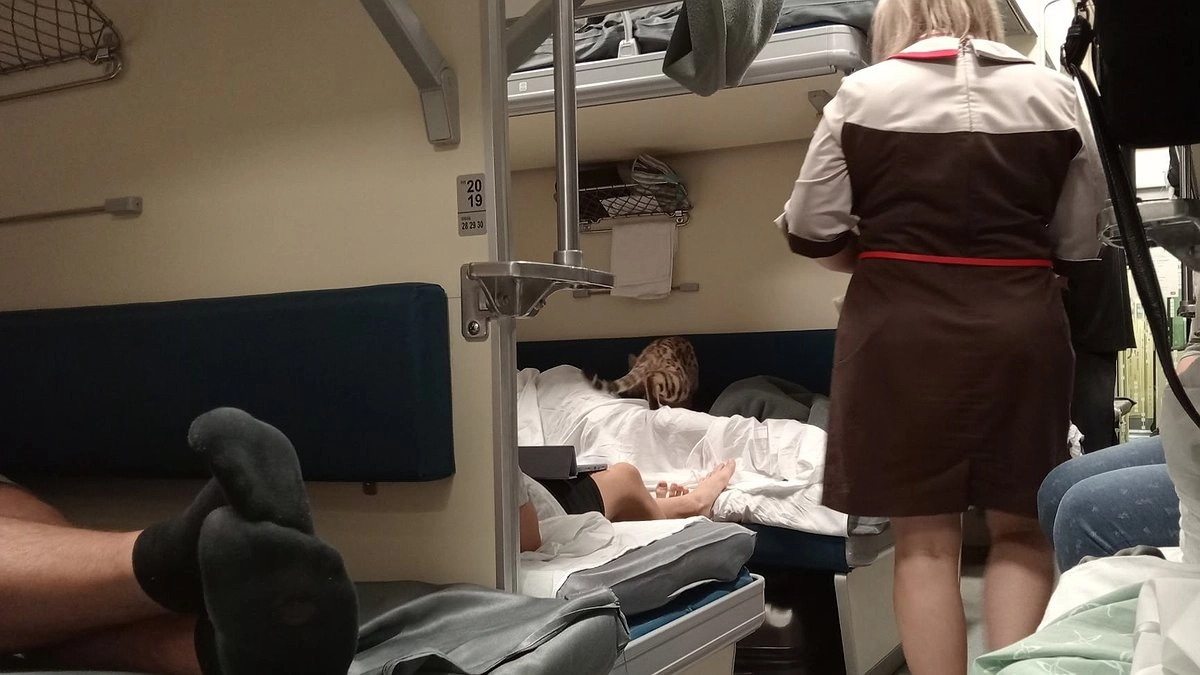 "Матрас придется сжечь, воняет": 4 безумных случая из путешествий в поездах РЖД — и не только