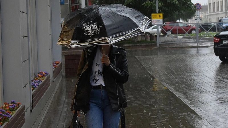 Главная картинка новости: Экстренное предупреждение для кировчан: в регионе могут прогреметь грозы с мощными ливнями