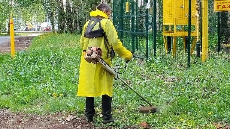На заросших газонах Киров заработал 600 тысяч рублей