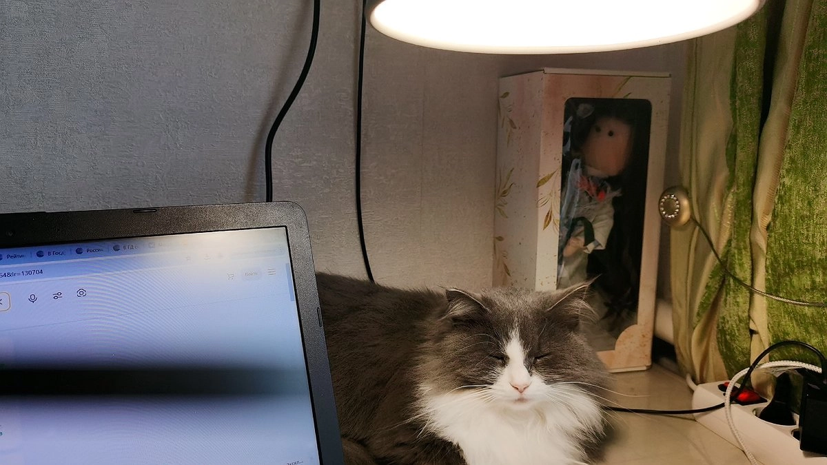 Главная картинка новости: Google Discover теперь показывает посты из соцсетей: 5 способов использовать это для роста