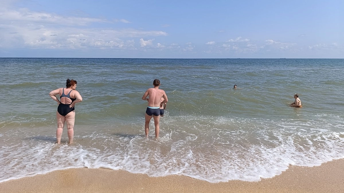 Главная картинка новости: Отдых на Черном море сейчас лучше отложить — на побережье объявилась новая напасть