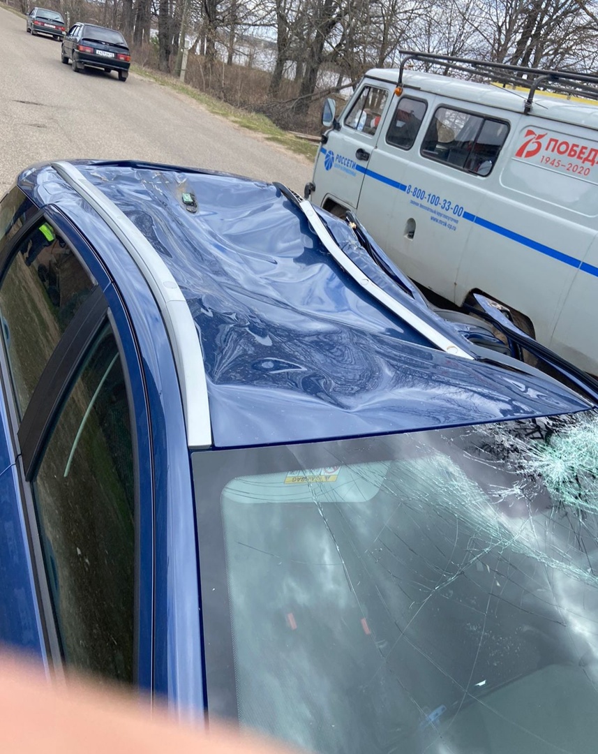 В Кировской области на двигающийся автомобиль упало дерево: пострадали люди