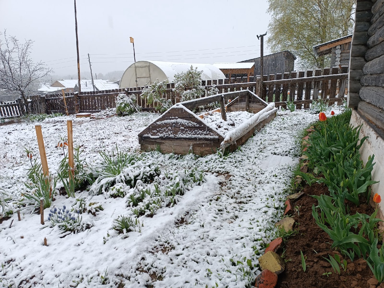 Кировская Ростовская область выпал снег