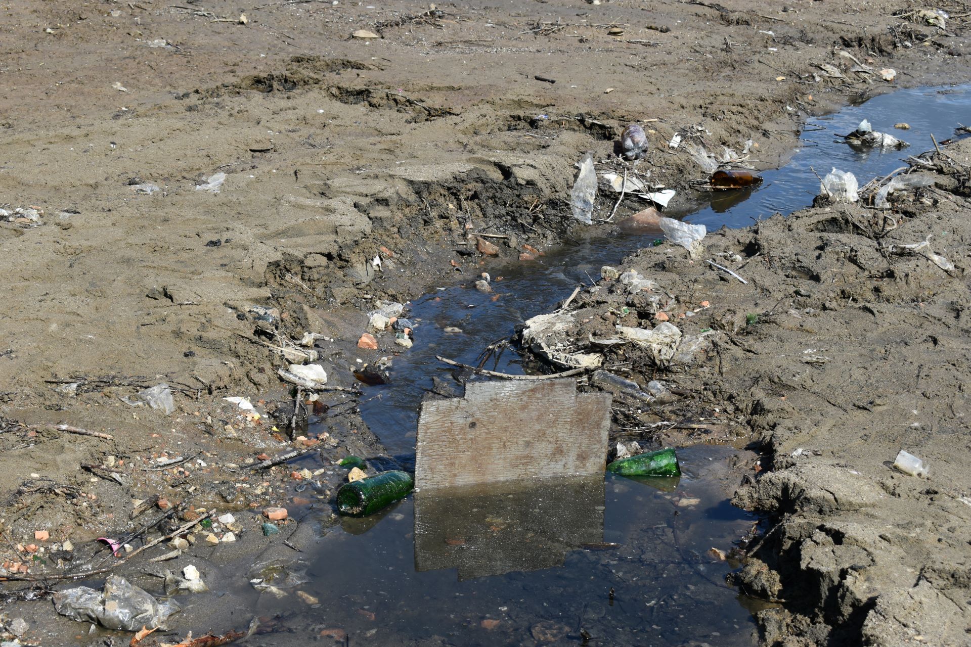 Водоемы осушили. Осушенные водоемы. Фото мусорки.