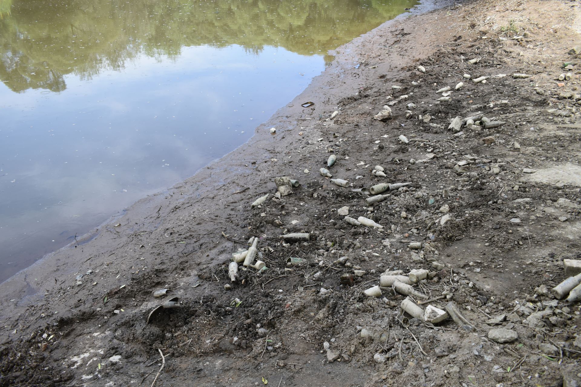 На верхнем пруду в парке у цирка слили воду: что кировчане нашли на дне  водоема? | 29.06.2023 | Киров - БезФормата