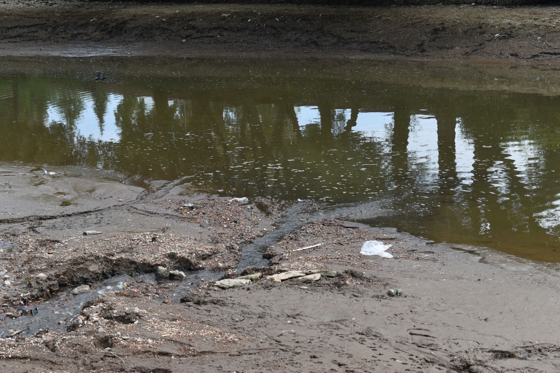 На верхнем пруду в парке у цирка слили воду: что кировчане нашли на дне  водоема? | 29.06.2023 | Киров - БезФормата