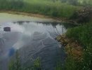 Предприятие в Котельниче хотят наказать за сбросы токсичных отходов в реку, однако есть осложнения