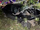 Смертельное ДТП в Кировской области: машина съехала с дороги и врезалась в дерево