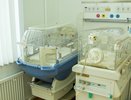 В Кирове в новогоднюю ночь в лесу у роженицы отошли воды