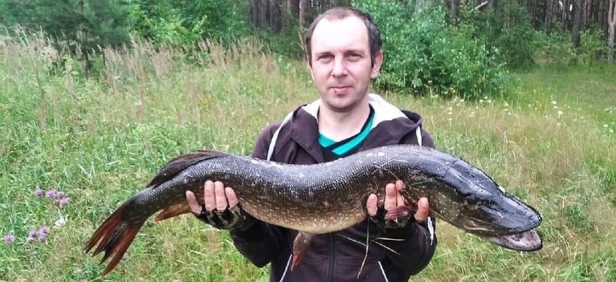 Из пруда в Кировской области выловили огромную щуку