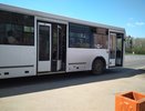 Опубликован список пострадавших в ДТП на трассе Киров-Советск