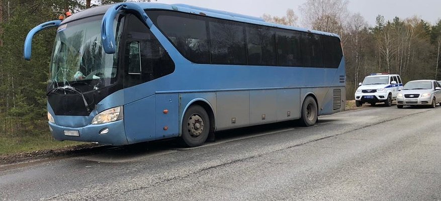 В Белохолуницком районе столкнулись автобус и грузовик