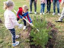 В память о ветеранах-железнодорожниках в Кирове заложили аллею