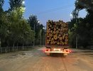 По одному из мостов в Кировской области  запретили движение большегрузов