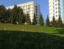 В Киров вернется жара до плюс 28 градусов