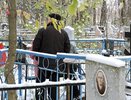 Власти рассказали, кто и как будет возить кировчан на кладбища в 2022 году