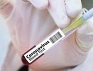 Количество зараженных COVID-19 в Кировской области перевалило за 4000 человек