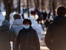Заболеваемость COVID-19 вернулась к прошлогодним показателям