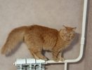 Когда в Кирове начнется отопительный сезон в жилых домах