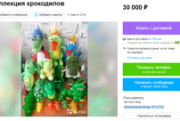 Более 30 000 за крокодилов: на Avito в Кирове продают личные коллекции