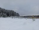 В Кировской области разыскали грибников, пропавших 3 дня назад
