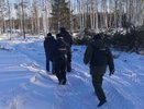 В Лебяжском районе предприниматель незаконно вырубил лес за пределами делянки