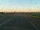 Эколог объяснил, почему этим летом в Кировской области так много мошек