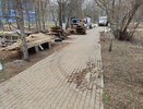 В Кочуровском парке демонтируют аттракционы: кто и когда будет благоустраивать территорию