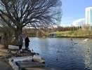 Из парка имени Кирова уберут тренажеры, которые установили без разрешения