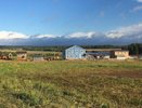 «В изоляции от внешнего мира»: когда до поселка программистов сделают дорогу