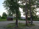 Кировчане просят помочь с тополями: «Боимся сгореть от пуха»