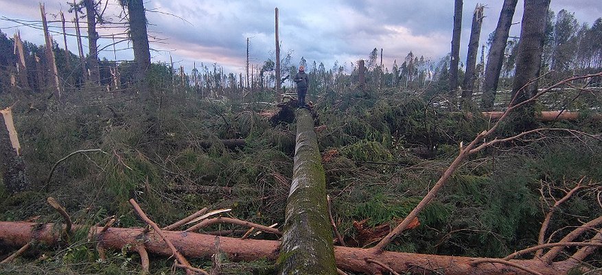 Кировчане делятся снимками после смерча: от упавших деревьев до сорванных крыш домов