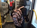 В Минобразования сообщили, планируется ли переводить школьников на удалёнку