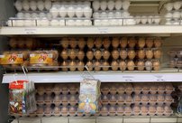 Яйца в Кировской области подорожали до 90 рублей: в чем причина?
