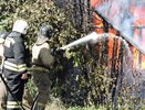 В Дороничах сгорело овощехранилище