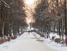 Погода на выходные: в Киров грядёт сильное похолодание