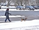 Погода на неделю: синоптики рассказали, как надолго в Кирове потеплело