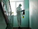 Не меньше 90%: власти рассказали о санитарной обработке подъездов в Кирове