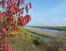 На реке Вятке перевернулась лодка с человеком