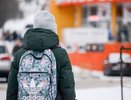 В оперштабе рассказали, сколько школ закрыли из-за коронавируса