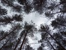 Кировчан предупредили о высокой пожароопасности