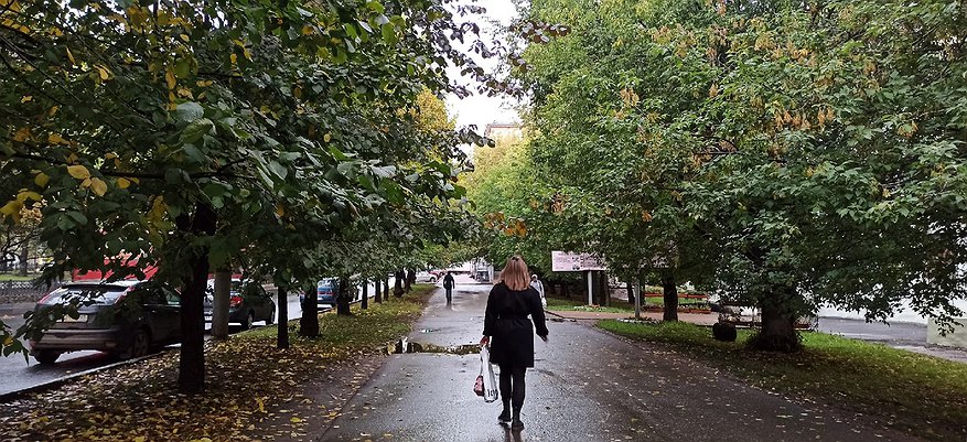 «Потепление и дождь»: синоптики рассказали о погоде в Кирове в воскресенье