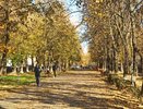 Власти призывают кировчан на выходных остаться дома