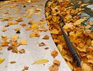 Погода на неделю: кировчане увидят первый снег