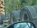 В Кировской области опрокинулся лесовоз: бревна разбросало по трассе