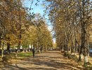 Серьёзное оповещение в Кирове: о мерах безопасности услышит весь город