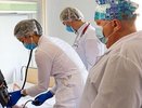 Отравление детей в усадьбе Ивана Царевича могло быть наркотическим, а не пищевым